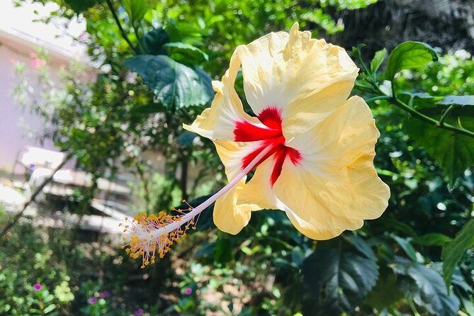 Stroll Through The French Quarters Of Pondicherry - Final thoughts