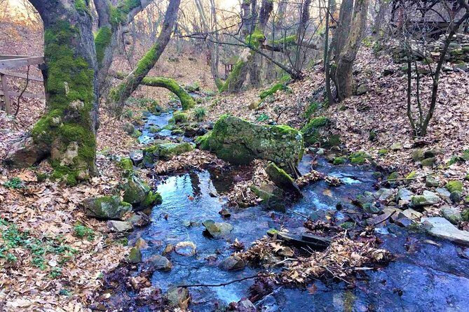 Strumica monasteries and waterfalls tour from Skopje - Practical Considerations and Value