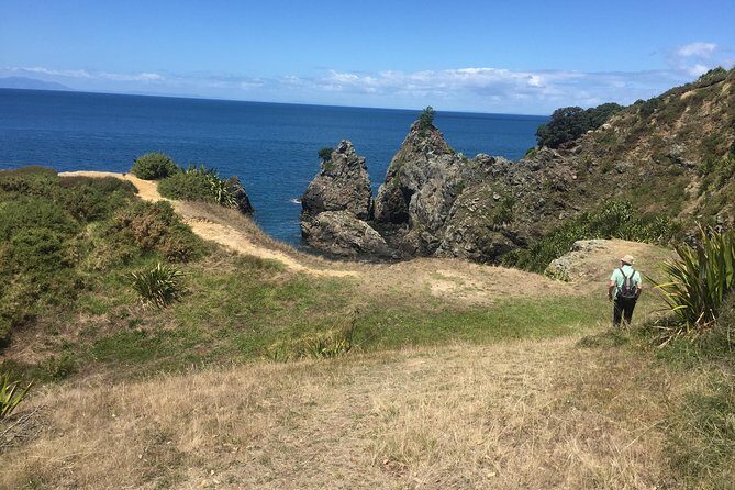 Stunning Auckland East Coast Walk & Wine Private Tour - Key Points