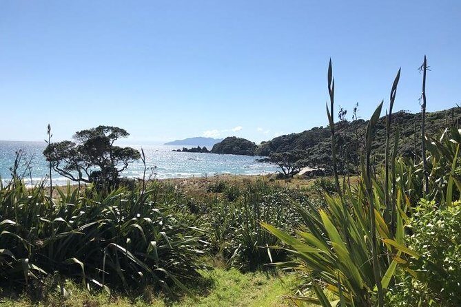 Stunning Auckland East Coast Walk & Wine Private Tour - Practical Tips for Future Travelers