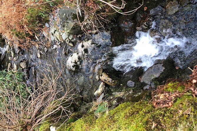 Stunning Lake District 4 Hour Tours! - Final Thoughts