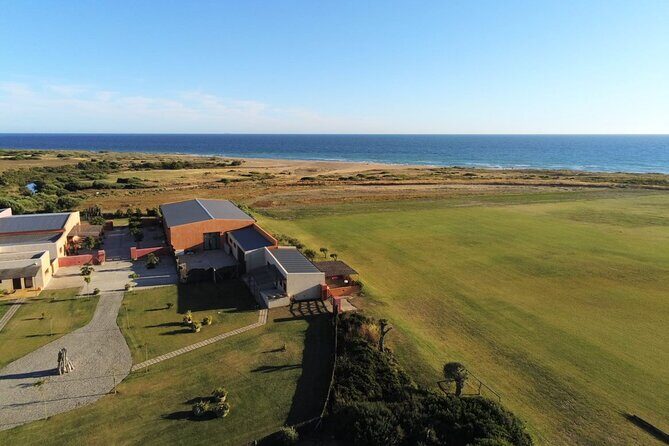 Stunning Sundown Beach Ride ... on horseback! - Practical Tips for Enjoying Your Ride