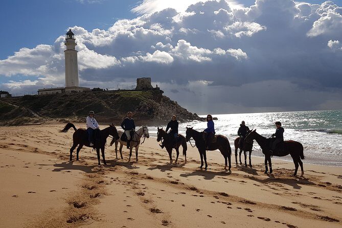Stunning Sundown Beach Ride ... on horseback! - The Sum Up
