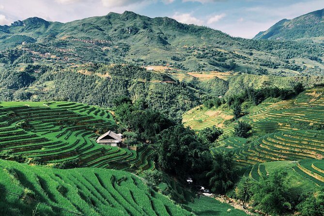 Stunning Terraced Rice Fields on 2-Day Trekking - A Complete Look at the 2-Day Sapa Trekking Adventure