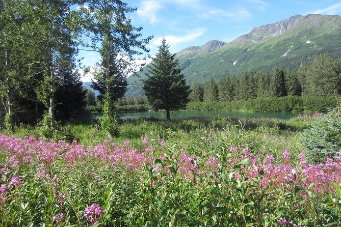 Stunning Turnagain Arm Tour: "A Must See Destination" - Exploring the Itinerary: What You Can Expect