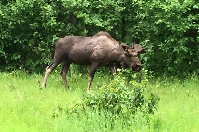 Stunning Turnagain Arm Tour: "A Must See Destination" - Final Thoughts