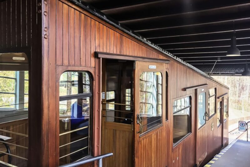 Stuttgart 24-Hour Hop-On Hop-Off Sightseeing Bus Tour - Who Will Love This Tour?