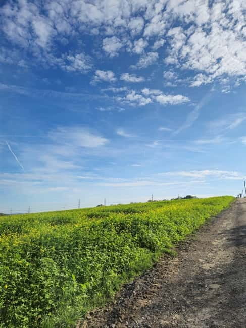 Stuttgart: Boßeltour with guide - What Is the Boßeltour Experience?