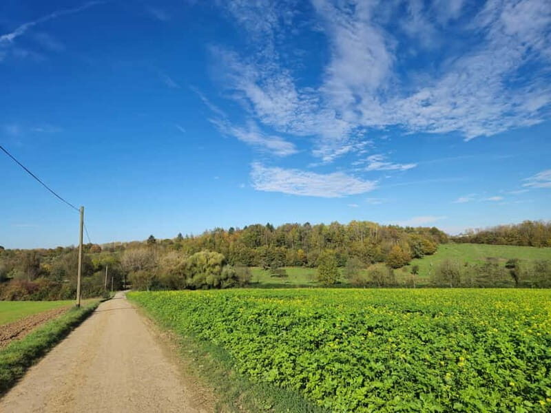 Stuttgart: Boßeltour with guide - The Break and Refreshments