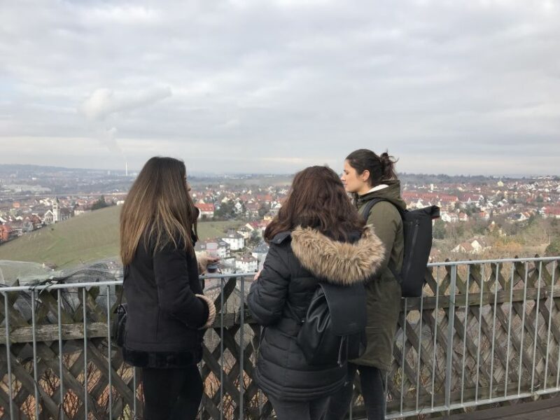 Stuttgart: Guided Glühwein Tour - Who Will Love This Tour?