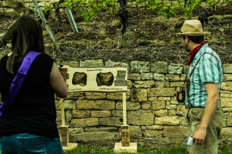 Stuttgart: Guided Vineyards Tour - FAQs