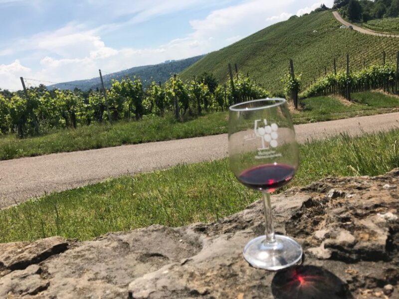 Stuttgart: Guided Wine Walk & Wine Tasting - Why the Guided Approach Works