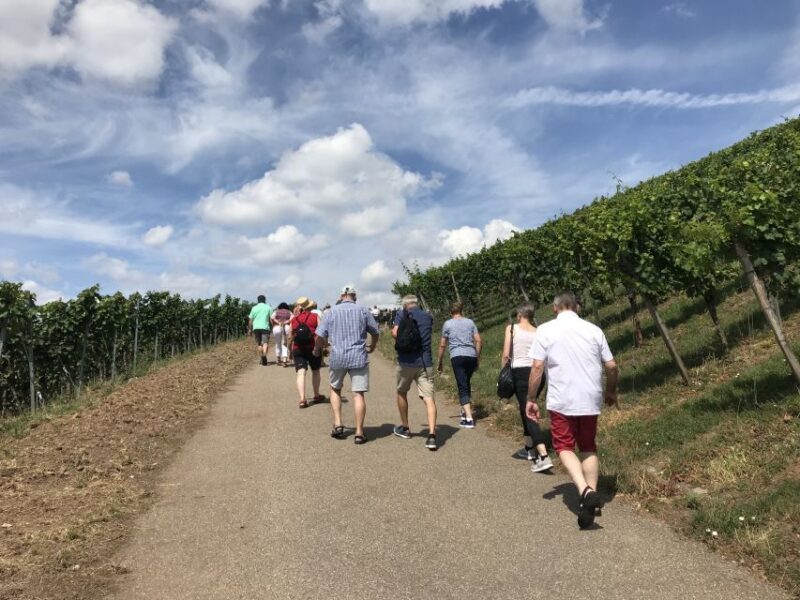 Stuttgart: Guided Wine Walk & Wine Tasting - Practical Details: What You Need to Know