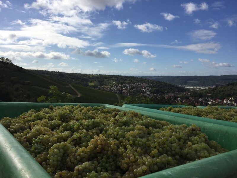 Stuttgart: Guided Wine Walk & Wine Tasting - Authenticity and Local Flavor