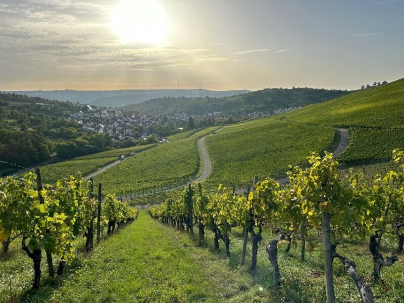 Stuttgart: Sparkling Wine Tour - The Itinerary Breakdown