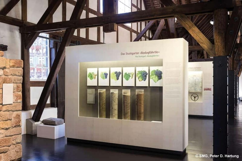 Stuttgart: Taster tour of the Wine Museum incl. 0.1 l wine - Key Points