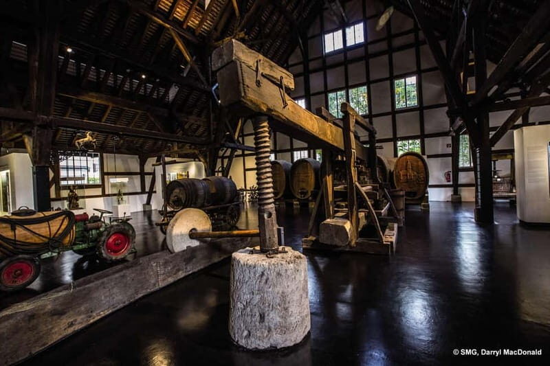 Stuttgart: Taster tour of the Wine Museum incl. 0.1 l wine - The Sum Up