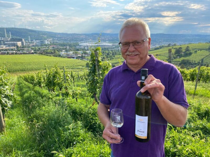 Stuttgart: Wine Tour with wines of the best winemakers - Overview of the Stuttgart Wine Tour