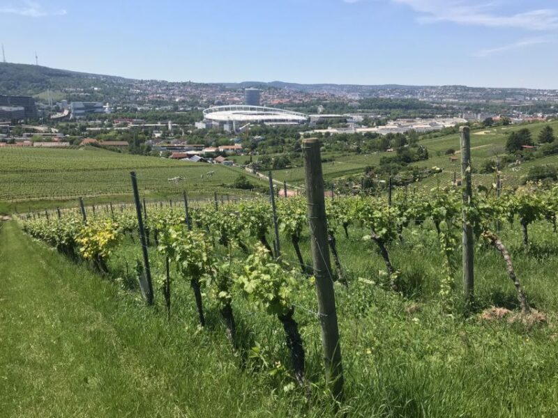 Stuttgart: Wine Tour with wines of the best winemakers - Price and Value