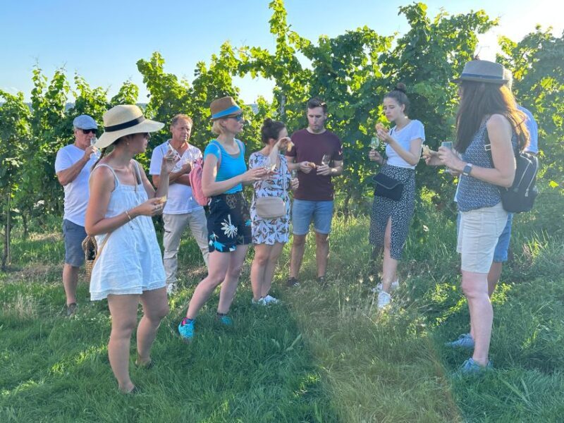 Stuttgart: Wine Tour with wines of the best winemakers - Final Thoughts