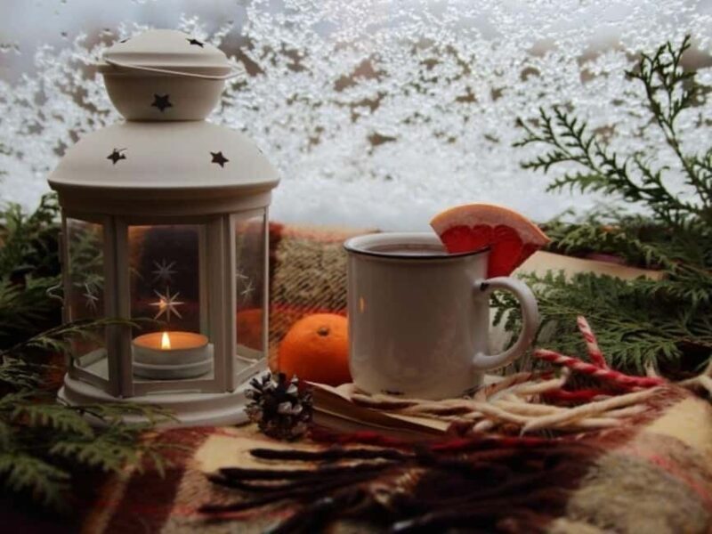 Stuttgart: Winter sleigh covered wagon tour - What to Expect from the Stuttgart Winter Sleigh Tour