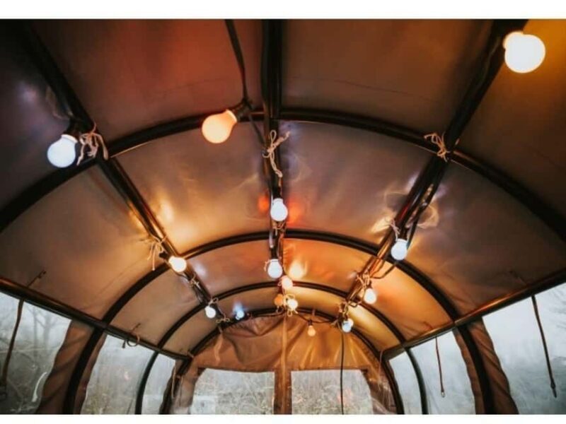 Stuttgart: Winter sleigh covered wagon tour - Why This Tour Works Well for Travelers