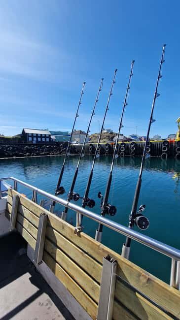 Stykkishólmur: Sea Angling Tour with Local Guide - An In-Depth Look at the Sea Angling Tour