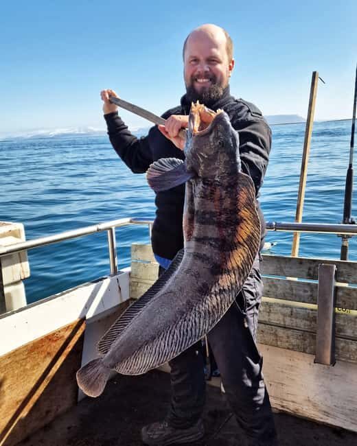 Stykkishólmur: Sea Angling Tour with Local Guide - The Sum Up