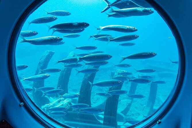 SUBMARINE ADVENTURE - Submarine Excursion in Puerto de Mogán - Is It Worth the Price?