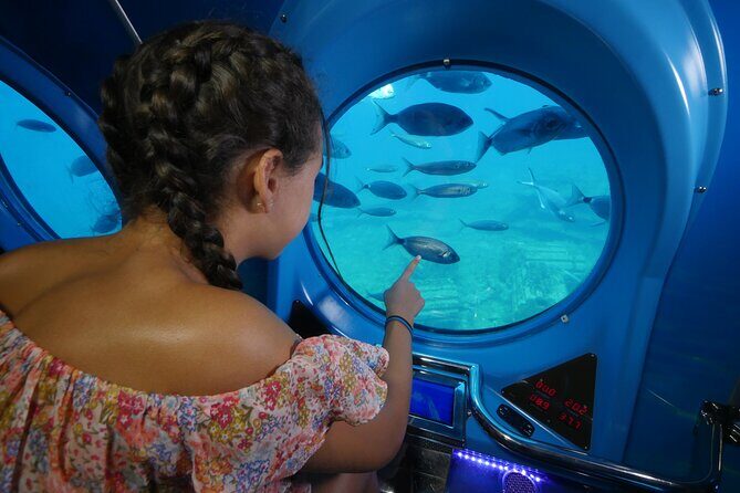 SUBMARINE ADVENTURE - Submarine Excursion in Puerto de Mogán - Who Should Consider This Tour?