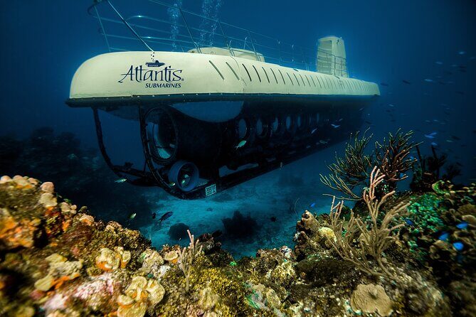 Submarine Atlantis Cozumel Adventure by day & sunset - FAQs