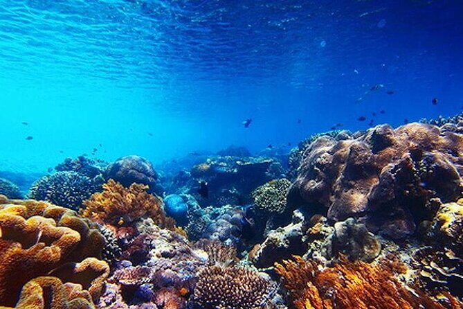 Subsea Subsee - The Value of the Tour: Is It Worth It?