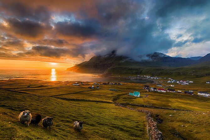 Súðuroy Island Day Tour, Faroe Islands - The Sum Up