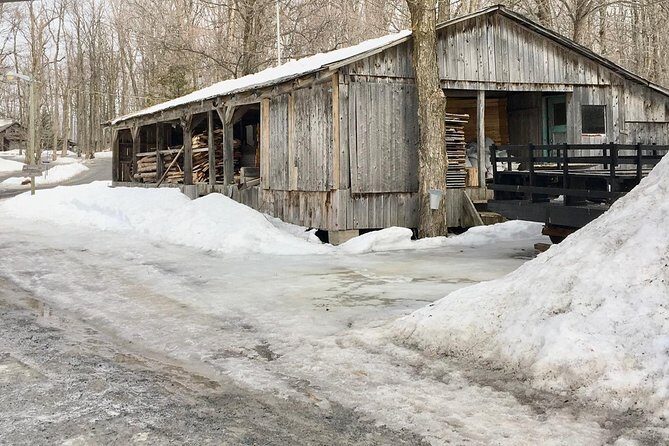 Sugar Shack (Feb to May) Maple Syrup Private Day Tour with lunch from Montreal - Why This Tour Offers Great Value