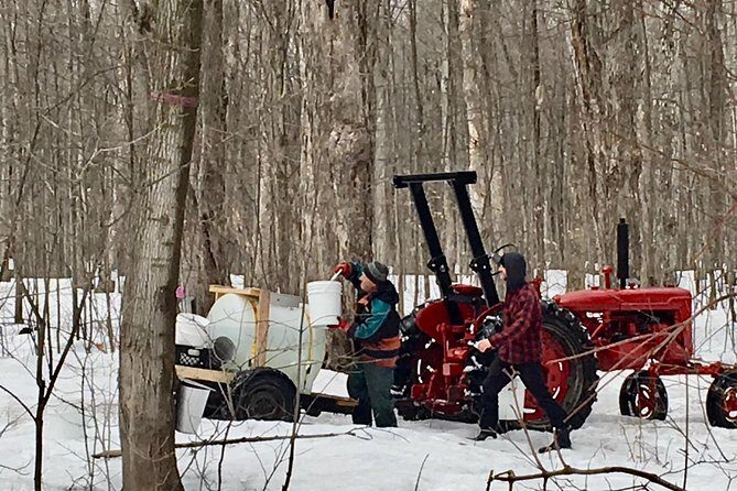 Sugar Shack (Feb to May) Maple Syrup Private Day Tour with lunch from Montreal - Who Will Love This Tour?