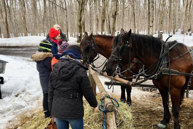 Sugar Shack (Feb to May) Maple Syrup Private Day Tour with lunch from Montreal - Final Thoughts
