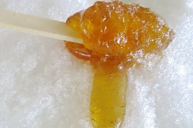 Sugar Shack Full Day Tour from Montreal - Who Is This Tour Best For?