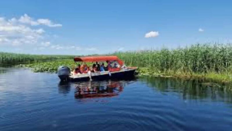 Sulina: Danube Delta Boat Tour with Wildlife Spotting - A detailed look at the Sulina Danube Delta Boat Tour
