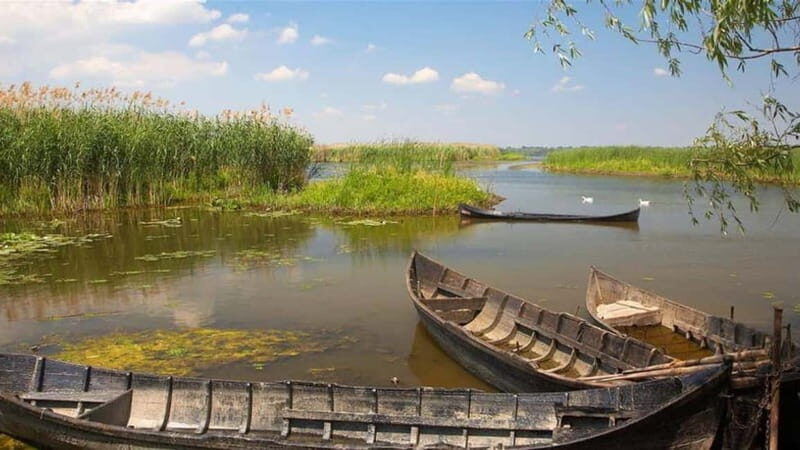 Sulina: Mila 23 Village Boat Trip in the Danube Delta - Key Points