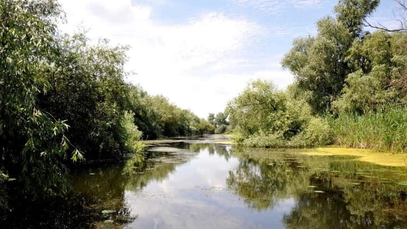 Sulina: Mila 23 Village Boat Trip in the Danube Delta - A Detailed Look at the Mila 23 Boat Trip Experience
