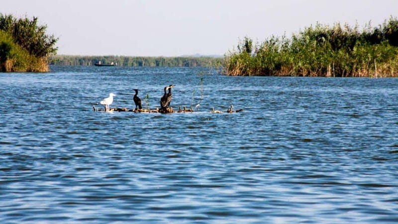 Sulina: Mila 23 Village Boat Trip in the Danube Delta - The Sum Up