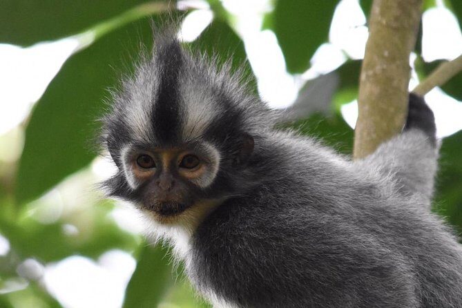 Sumatra trek and village tours - FAQ