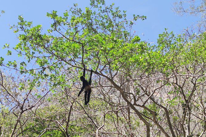 Sumidero Canyon & Chiapa de Corzo from Tuxtla & San Cristobal - The Sum Up: Who Will Love This Experience?