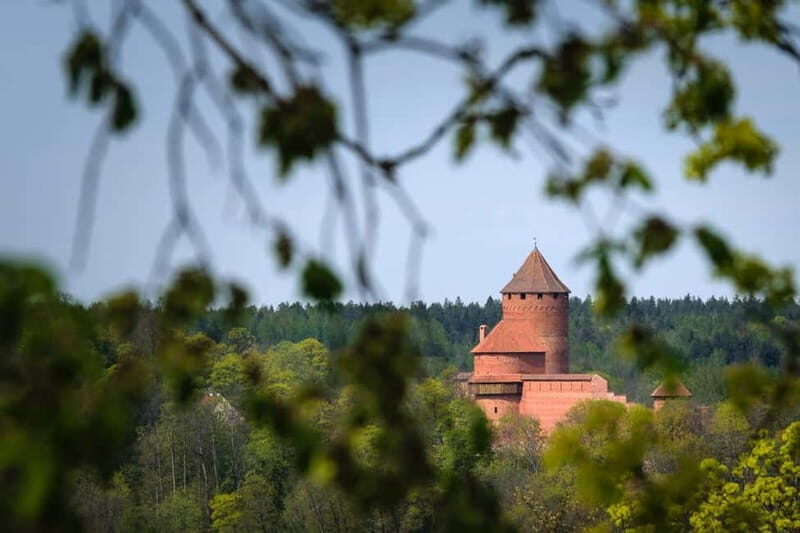 Summer Bobsleigh Adventure in Sigulda - Is It Worth the Price?