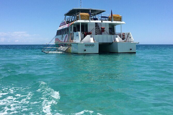 SUMMER K'gari (Fraser Island) Boom-net & Sightseeing Cruise - A Deep Dive into the Experience