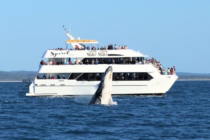 SUMMER K'gari (Fraser Island) Boom-net & Sightseeing Cruise - Who Should Consider This Tour?