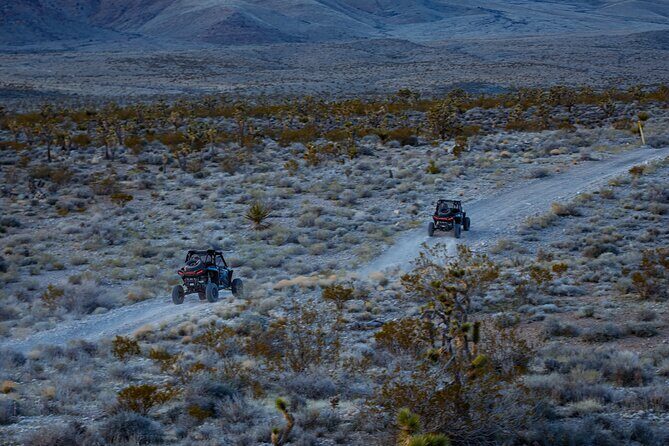 Summer Mojave Desert Twilight RZR Quest in Las Vegas - Logistics and Practical Tips