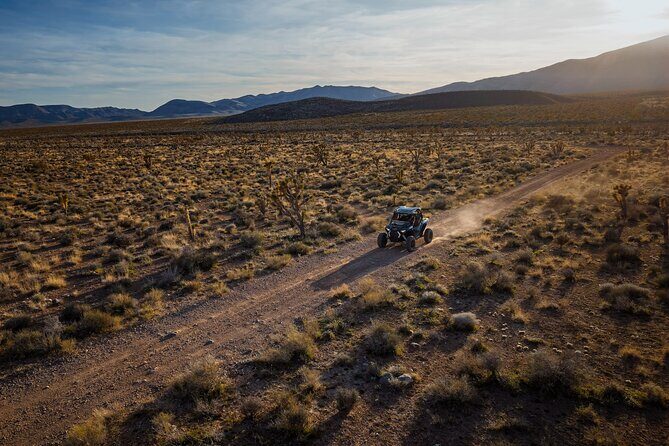 Summer Mojave Desert Twilight RZR Quest in Las Vegas - Cost and Value