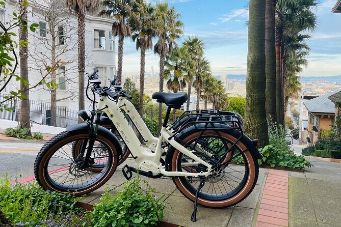 Summer of Love San Francisco Guided eBike Tour Golden Gate Park - Who Should Take This Tour?