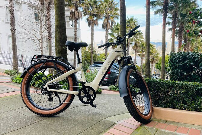 Summer of Love San Francisco Guided eBike Tour Golden Gate Park - The Sum Up